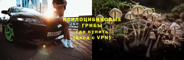 кокаин Белокуриха