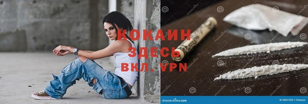 прущие грибы Богданович
