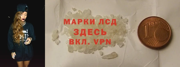 прущие грибы Богданович