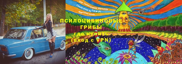 не бодяженный Беломорск