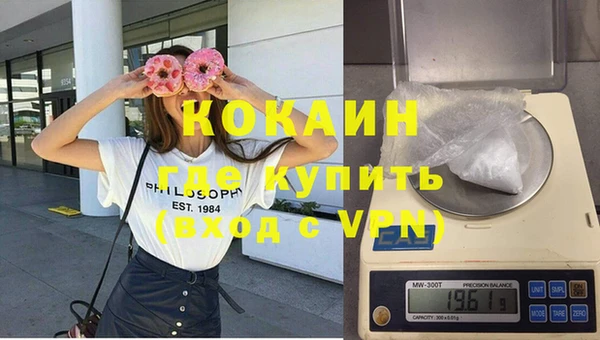 прущие грибы Богданович