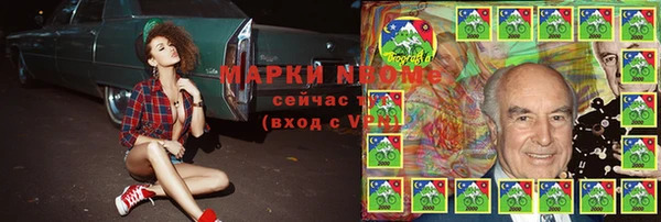 прущие грибы Богданович
